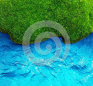 Green grass and sea background.