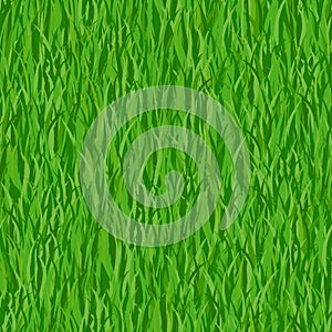 Green grass seamless pattern background