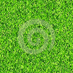 Green grass seamless pattern background vector