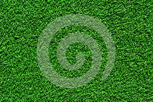Green grass seamless texture.