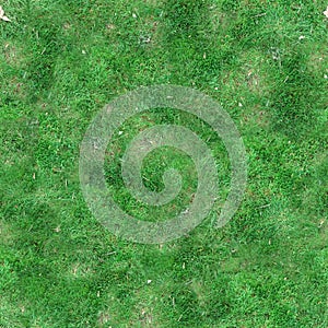 Green Grass Seamless Tile Texture