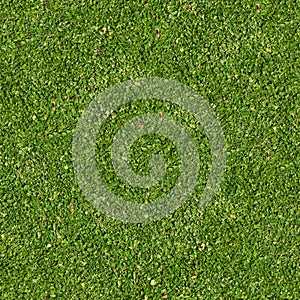 Green Grass. Seamless Tileable Texture.