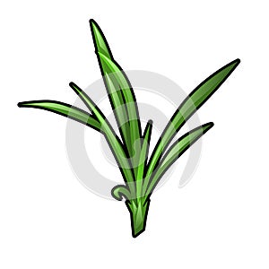 Green grass seedling isolated on white background. Vector cartoon close-up illustration.