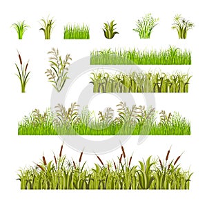 Green Grass Set Decor Elements Isolated on a White Background. Vector