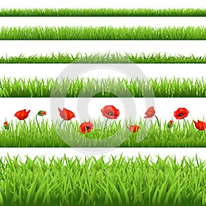 Green Grass Set With Red Poppy