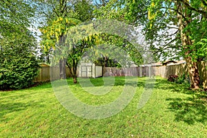 Green grass and a shed in empty fenced back yard photo