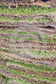 Green Grass Sheets As Layers.