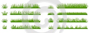 Green grass silhouette. Cartoon lines of plants and shrubs for boarding and framing, eco and organic logo element