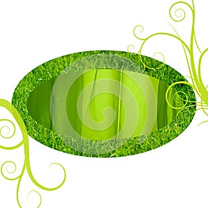 Green grass silk frame