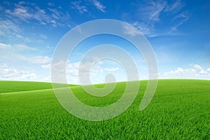 Green grass on slope with blue sky