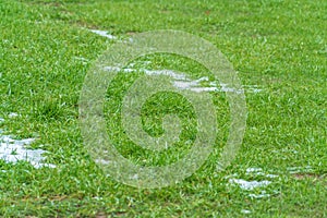 Green Grass with Snow Patches