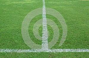 Green grass, soccer field