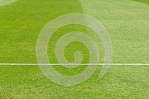 Green grass, soccer (fooball) field.