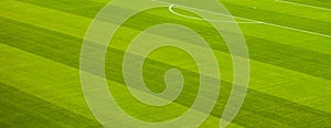 Green grass soccer football field background, end of game