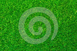 Green grass soccer or golf field background