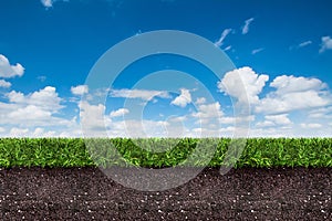 Green grass with soil on blue sky.