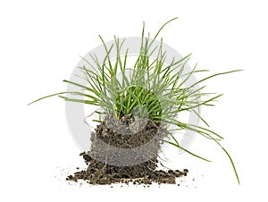 Green grass, soil and grass isolated on white background