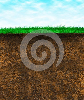 Green grass soil - texture surface