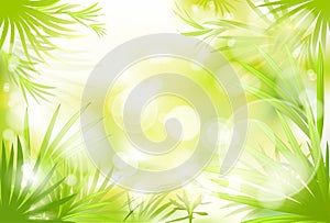 Green grass spring abstract blur background vector