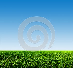 Green grass on spring field against blue clear sky