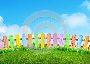 Green grass and spring flowers at backyard