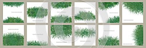 Green grass square border background spring set vector template. Abstract shrub composition for eco decorative design