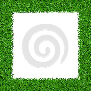 Green grass Square frame with copy-space 2