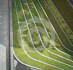 Green Grass Stairs