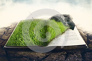 Green grass with stone on a book