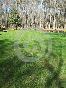 Green grass striping