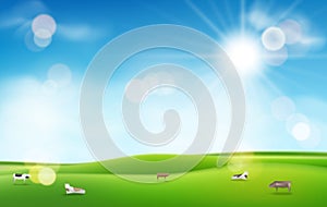 Green grass with sun and blue sky. blurred light effects and cows for your design