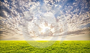 Green grass and sunset sky background