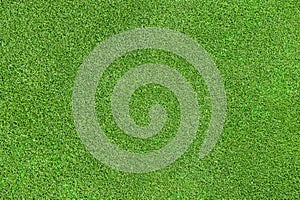 Green grass texture