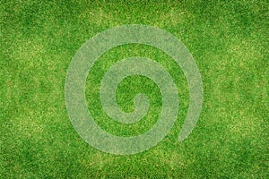 Green grass texture background photo