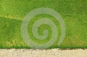 Green grass texture background of golf course with concrete area.