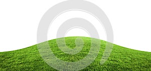 Green grass texture background isolated on white background.