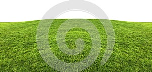 Green grass texture background isolated on white background.