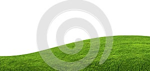 Green grass texture background isolated on white background.