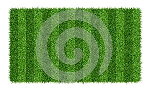 Green grass texture background for soccer and football sports. Green grass field pattern and texture isolated on white background