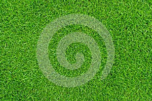 Green grass texture background, Top view of grass garden Ideal concept used for making green flooring, lawn for training football