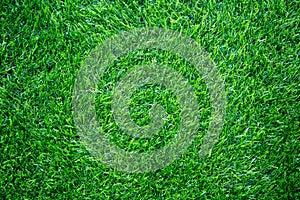 Green grass texture background, Top view of grass garden Ideal concept used for making green flooring, lawn for training football