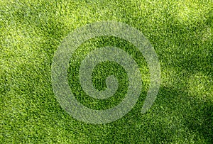 Green grass texture background wallpaper. light and dark shades.