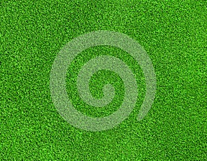 Green grass texture