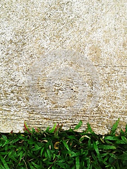 Green grass texture Crack with concrete background