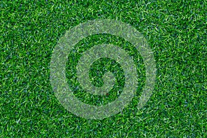 Green grass texture for golf course, soccer field or sports background. Concept design of Artificial green grass for design with