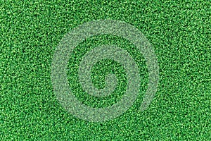 Green grass texture or green grass background.