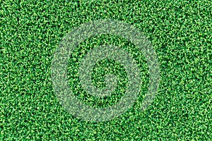 Green grass texture or green grass background.