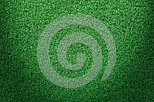 Green grass texture or green grass background.