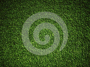 Green grass Texture.Green grass background.View of green grass.Grass texture of football.Fresh grass.