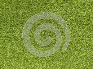 Green grass Texture.Green grass background.View of green grass.Grass texture of football.Fresh grass.